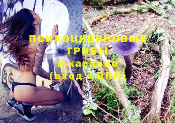 кокс Ветлуга