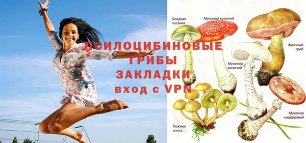 гашик Абаза