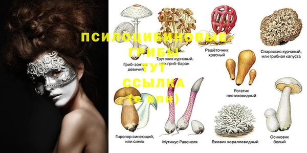 каннабис Абинск