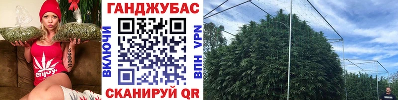 Каннабис план  наркота  ссылка на мегу сайт  Суджа 